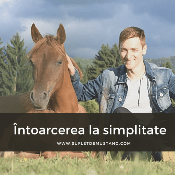 Întoarcerea la simplitate