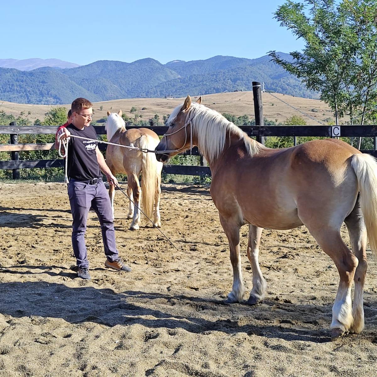 Cum a fost la cursul de horsemanship susținut de Miron Bococi la Potcoava Mountain&nbsp;Hideaway