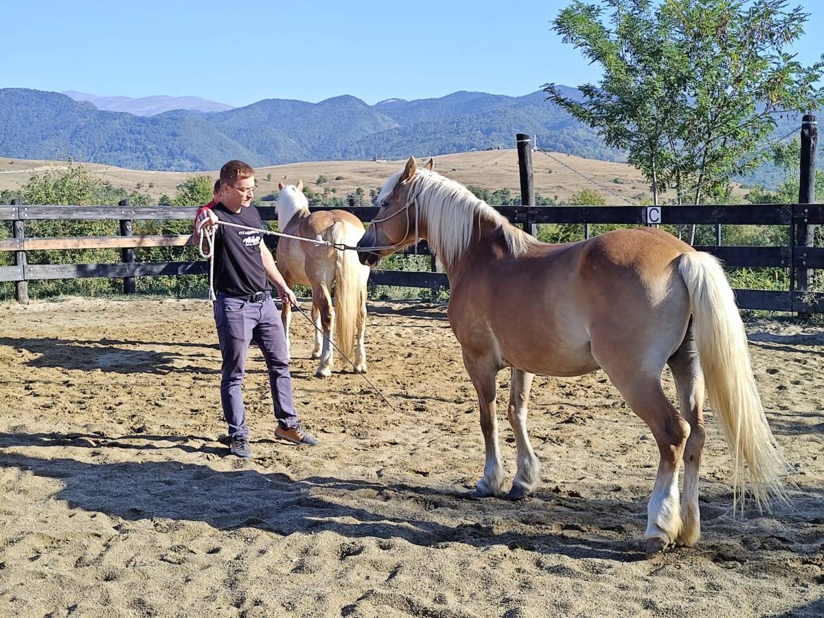 Cum a fost la cursul de horsemanship susținut de Miron Bococi la Potcoava Mountain&nbsp;Hideaway