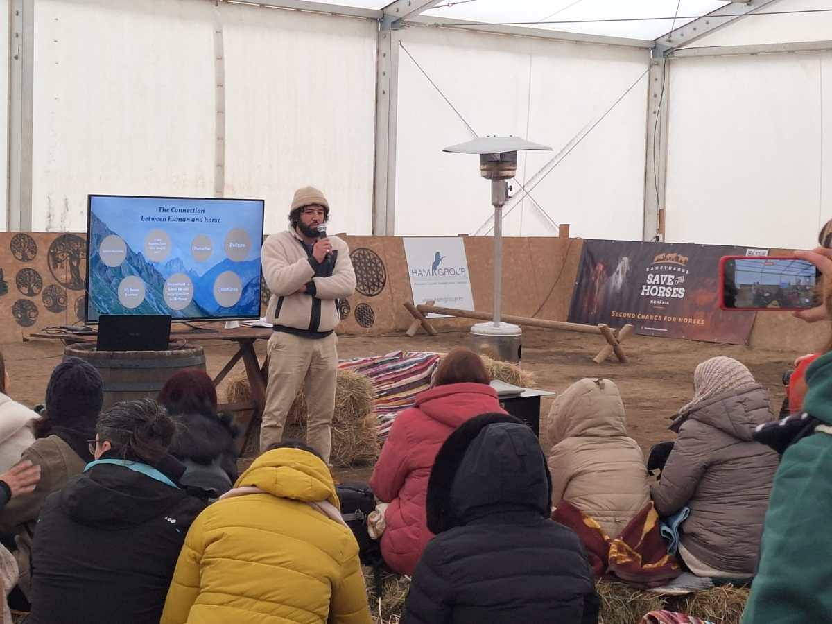 Cum să te conectezi cu caii prin conștientizarea propriei energii – Lecții din seminarul cu Matthias&nbsp;Geysen
